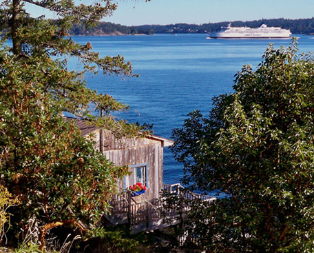 Daffodil Cove Cottage